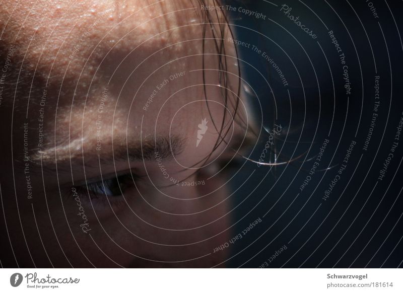 - Colour photo Close-up Neutral Background Light Shadow Shallow depth of field Portrait photograph Half-profile Human being Masculine Man Adults Head