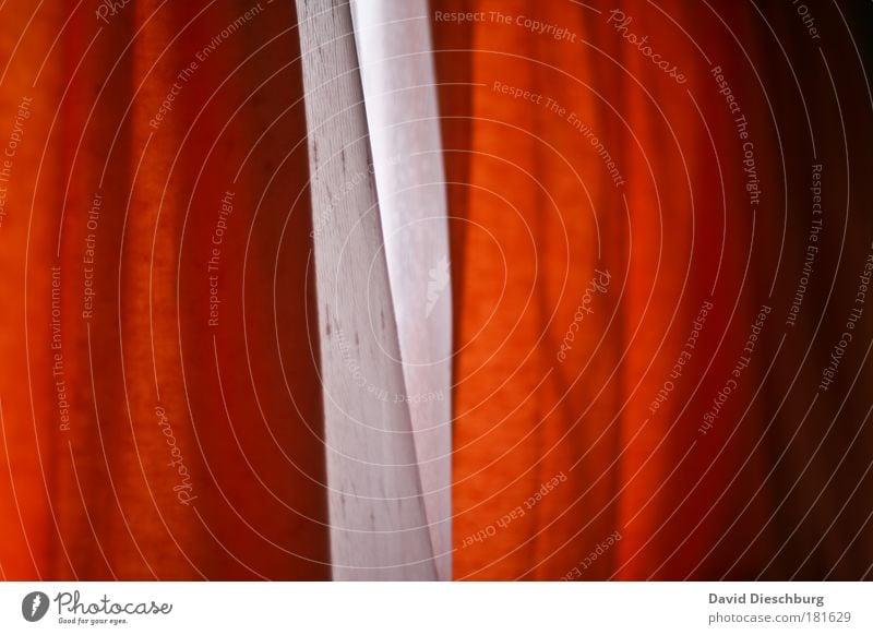 Dutch curtains Colour photo Interior shot Close-up Detail Structures and shapes Day Contrast Red White Curtain Window Orange Cloth Line Two-tone Frizzy Drape