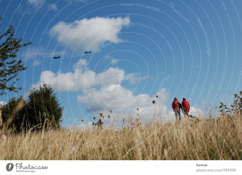 air show Trip Air show Nature Landscape Plant Sky Clouds Summer Beautiful weather Grass Bushes Aviation Airplane Propeller aircraft Observe Flying Looking Above