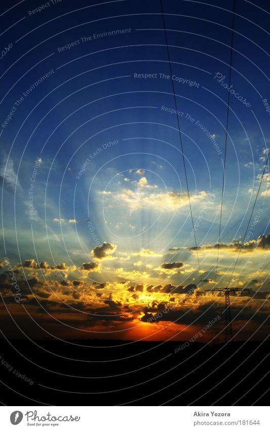 The last greeting Colour photo Exterior shot Deserted Copy Space top Copy Space bottom Neutral Background Evening Twilight Light Contrast Sunlight Sunbeam