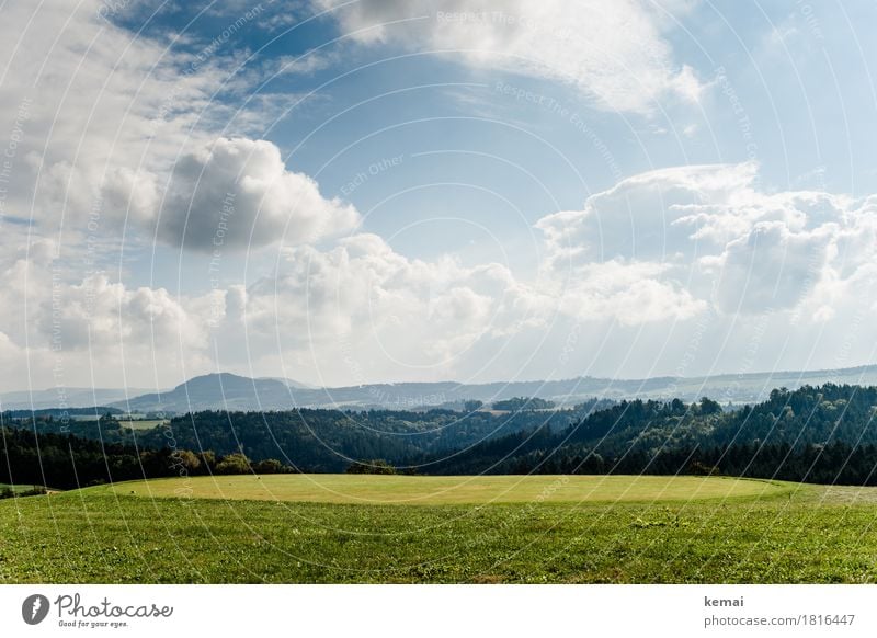 Land and forest Life Well-being Contentment Senses Relaxation Calm Trip Adventure Far-off places Freedom Environment Nature Landscape Plant Sky Clouds Sunlight