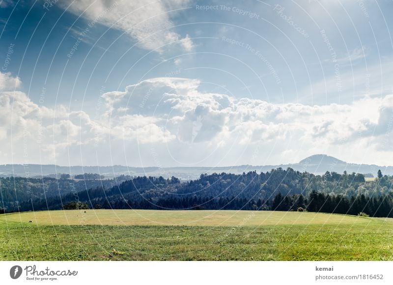 Forest and meadow Wellness Life Well-being Calm Trip Far-off places Freedom Environment Nature Landscape Sky Clouds Sun Autumn Beautiful weather Tree Grass