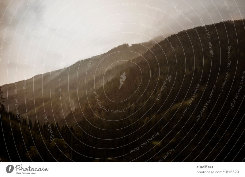 Foggy hilly landscape in the foothills of the Alps Nature Landscape Plant Clouds Bad weather Tree Meadow Hill Movement Freeze Reading Lie Hiking Threat Dark