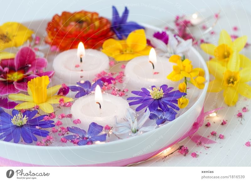 colourful spring flowers in white water bowl with three burning candles Blossom Flower Bowl Wellness Well-being Spa Feasts & Celebrations Easter Narcissus