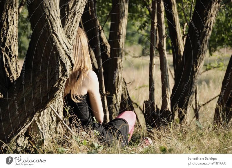 young woman sitting in top on tree in sun rear view Colour photo Exterior shot Shadow Contrast Sunlight Rear view Looking away Human being Feminine Young woman