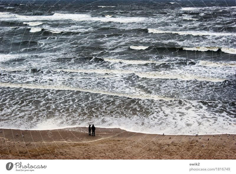 paddling pool Woman Adults Man 2 Human being Environment Nature Water Climate Bad weather Wind Gale Waves Coast Beach Baltic Sea Observe To enjoy Looking Stand