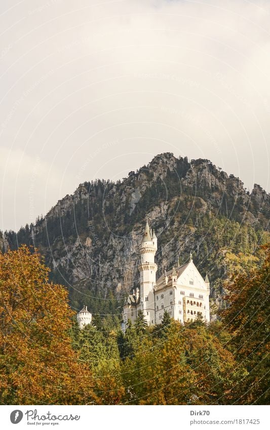 Neuschwanstein autumn II Vacation & Travel Tourism Sightseeing Mountain Nature Landscape Clouds Autumn Beautiful weather Tree Automn wood Autumn leaves Forest