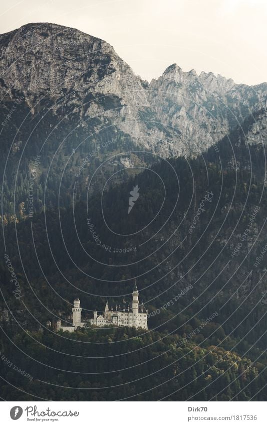 Neuschwanstein autumnal, portrait format Vacation & Travel Tourism Sightseeing Landscape Autumn Tree Forest Automn wood Hill Rock Alps Mountain Allgäu Alps Peak