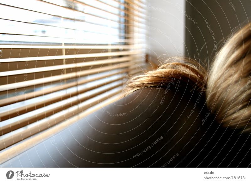 gold hair Colour photo Interior shot Blur Harmonious Relaxation Sofa Living room Feminine Hair and hairstyles Window Blonde Long-haired Wood Leather To enjoy