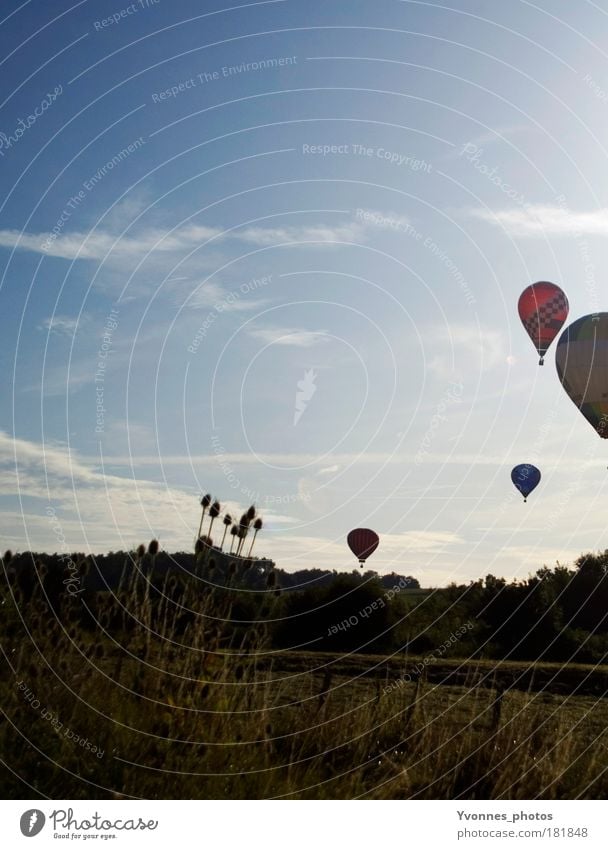 On the road with friends Calm Trip Freedom Summer Event Air Sky Clouds Hot Air Balloon Tall Moody Ease Events Hover Weightlessness Release Atmosphere Light