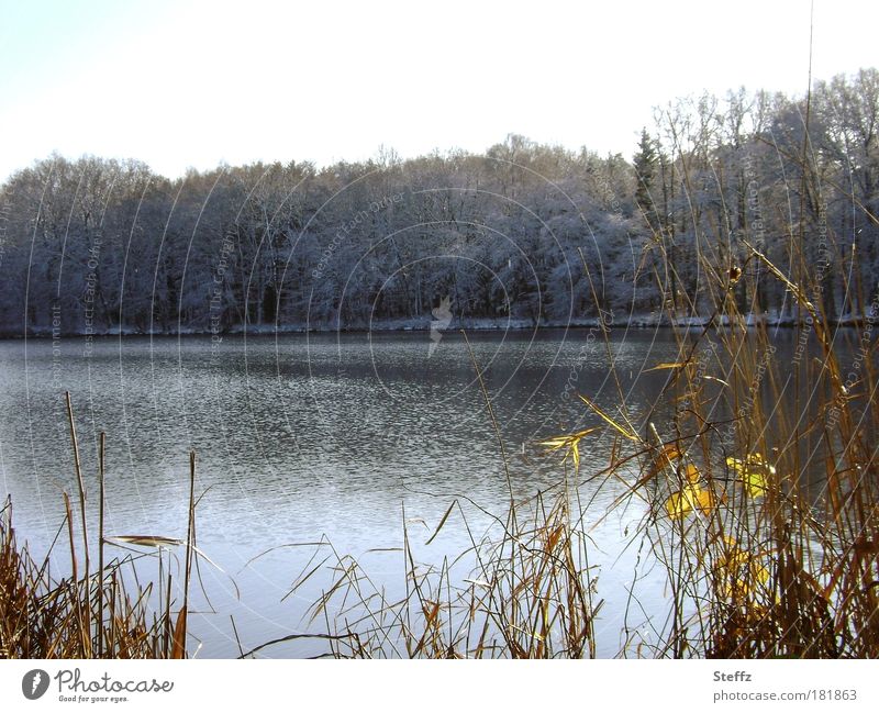 on the sunny side Lakeside November December November mood beginning of winter Nordic Domestic cold snap onset of winter Winter mood Winter Afternoon