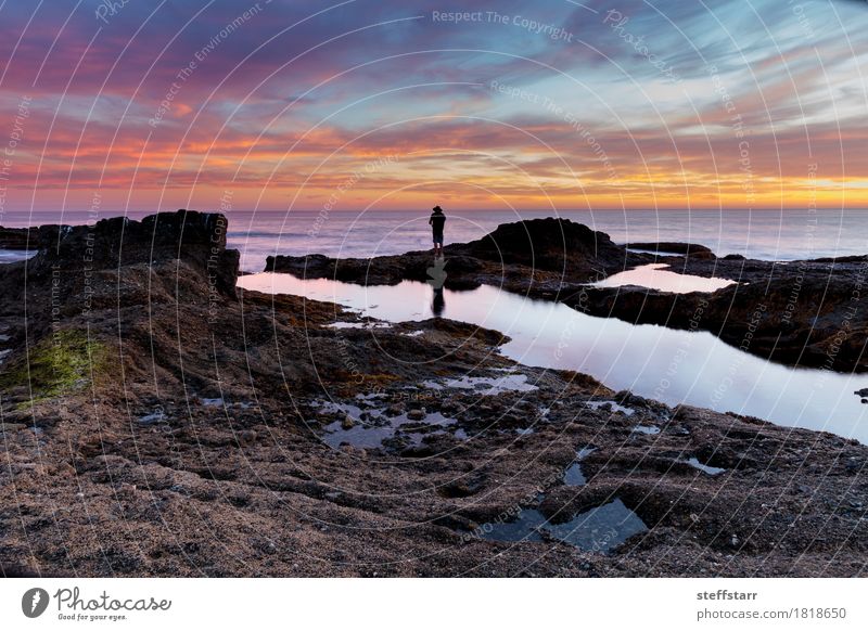 Lone man on the rocks at sunset Human being Masculine 1 Sunrise Sunset Coast Ocean Success Blue Yellow Gold Violet Orange Pink Red Moody Peaceful Wanderlust