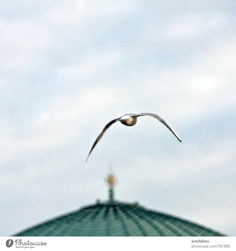 Next stop: Tonhalle tonhalle Sky Clouds Beautiful weather Duesseldorf Germany Outskirts Manmade structures Concert Hall Roof Point Domed roof Tourist Attraction