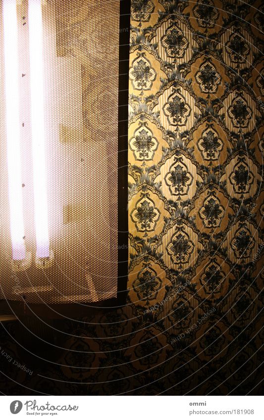 neon wallpaper Lamp Neon light Neon lamp Exceptional Dark Elegant Bright Retro Gold Black Lighting Flashy Luxury Old fashioned Colour photo Interior shot Detail