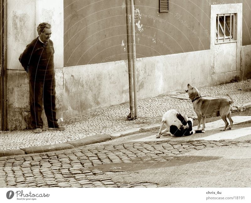 Lisbon street scene Portugal Man Belém district typical street scene