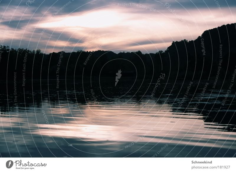 Idyll at the cold lake Colour photo Exterior shot Deserted Copy Space left Copy Space right Copy Space top Copy Space bottom Day Evening Twilight Light Shadow