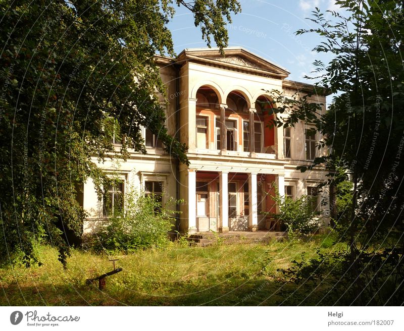 unoccupied Colour photo Subdued colour Exterior shot Day Light Shadow Sunlight Central perspective Nature Sky Summer Beautiful weather Tree Grass Garden