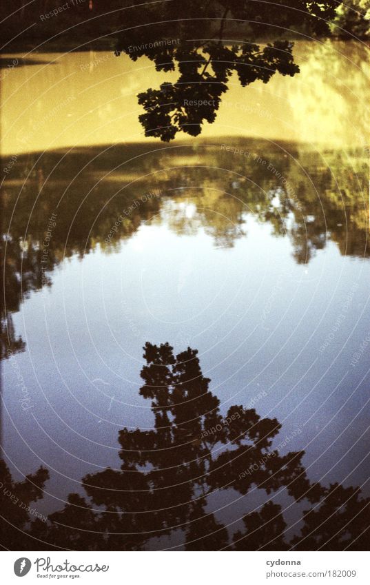 Below can also be above Colour photo Exterior shot Detail Deserted Copy Space middle Day Light Shadow Contrast Sunlight Shallow depth of field