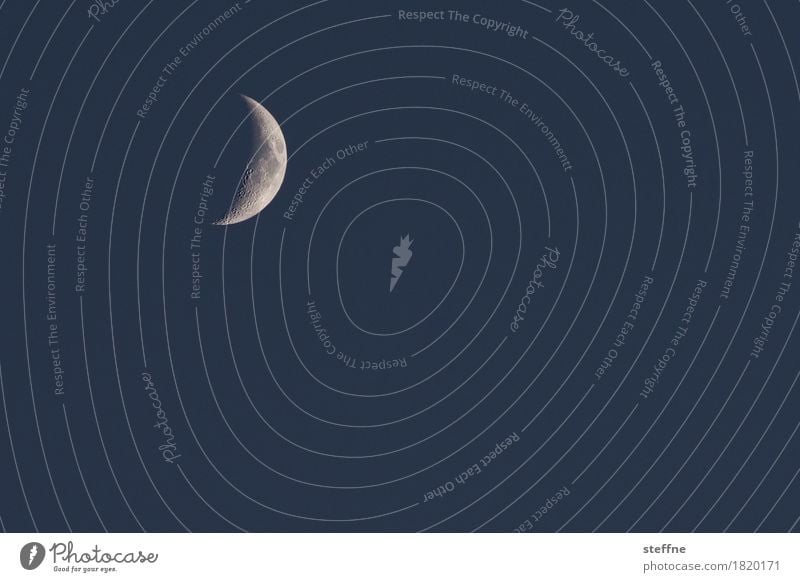 increasing Nature Night sky Moon Crazy Moonstruck Universe Astrophotography New England Crescent moon Colour photo Exterior shot Deserted Copy Space right