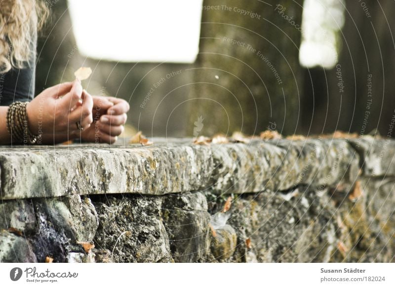 Goodbye autumn . . . Subdued colour Exterior shot Detail Woman Adults Skin Hair and hairstyles Arm Hand Fingers Autumn To fall Illuminate Dream Sadness Dry