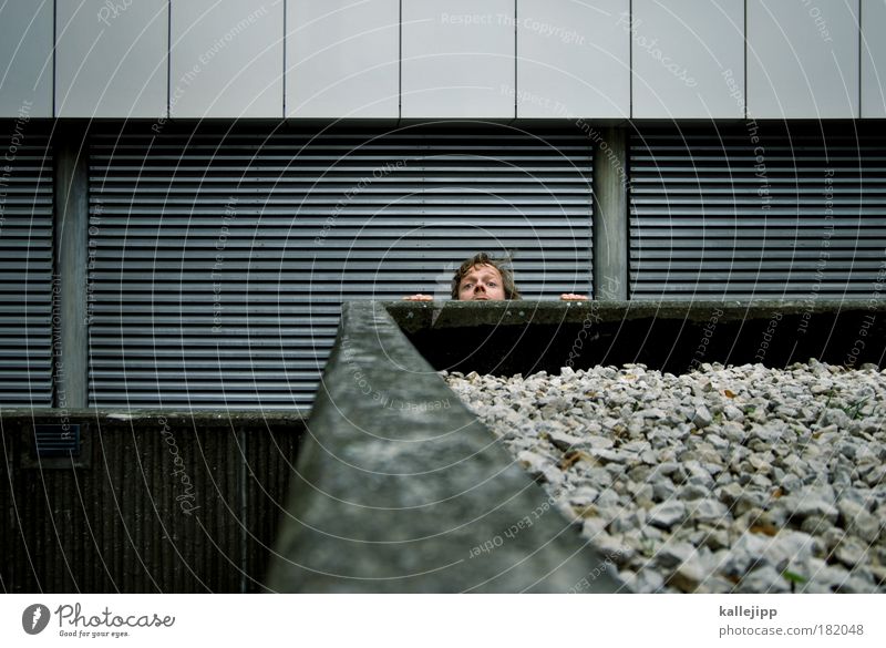 rim Colour photo Subdued colour Exterior shot Copy Space top Day Twilight Light Shadow Contrast Worm's-eye view Long shot Looking into the camera Education