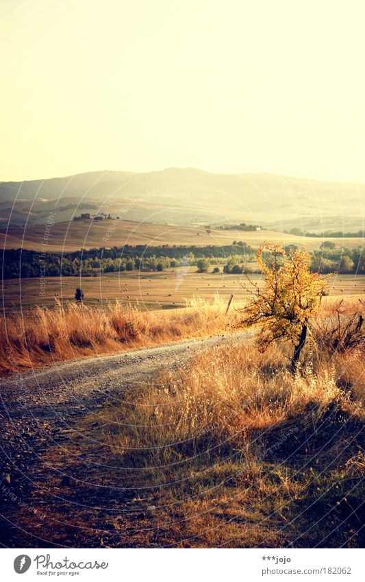 sera oro. Colour photo Exterior shot Deserted Copy Space top Evening Twilight Light Vacation & Travel Summer Summer vacation Sun Nature Landscape Plant Sunrise