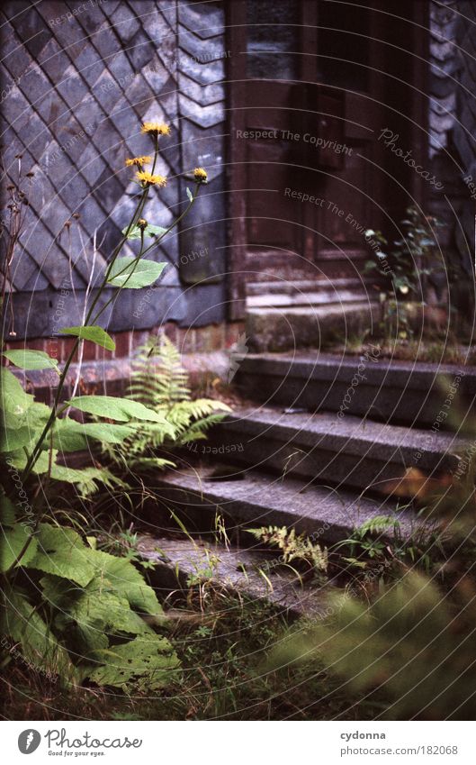 In front of closed door Colour photo Exterior shot Close-up Detail Deserted Day Shadow Contrast Shallow depth of field Central perspective Environment Nature