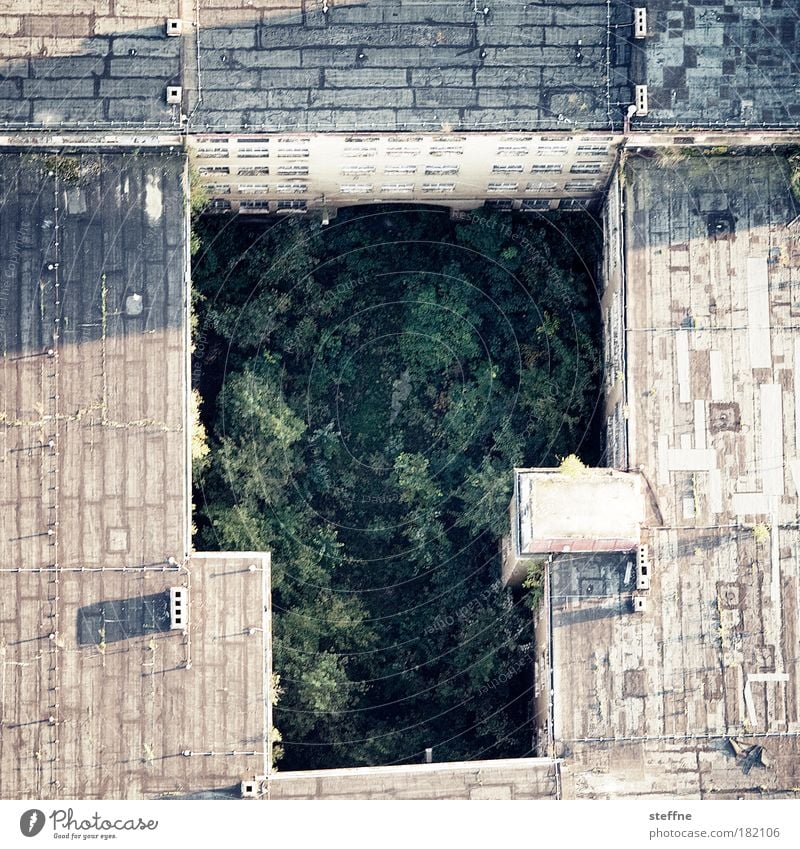 Thick T Subdued colour Exterior shot Aerial photograph Experimental Pattern House (Residential Structure) Aviation View from the airplane Flying Town