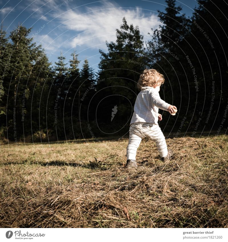 autumn child Human being Feminine Child Toddler Girl Infancy Life 1 1 - 3 years Environment Nature Landscape Animal Clouds Autumn Beautiful weather Field Forest