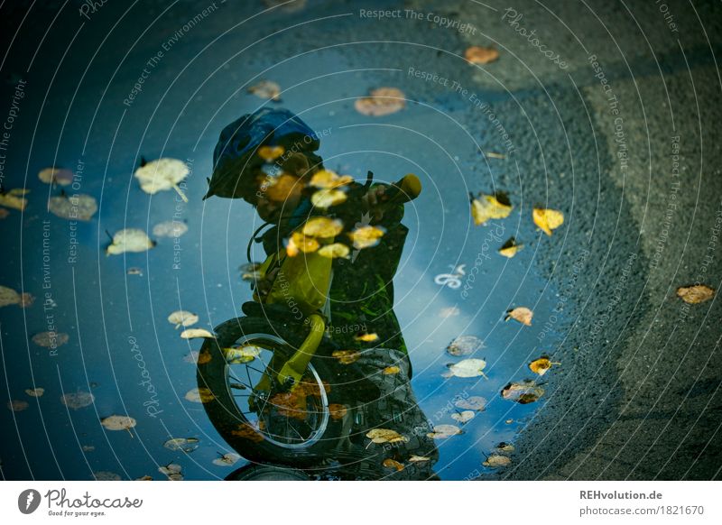 Cycling in autumn Human being Masculine Child Toddler Boy (child) 1 1 - 3 years Sky Clouds Autumn Weather Bad weather Rain Leaf Bicycle Water Driving Walking