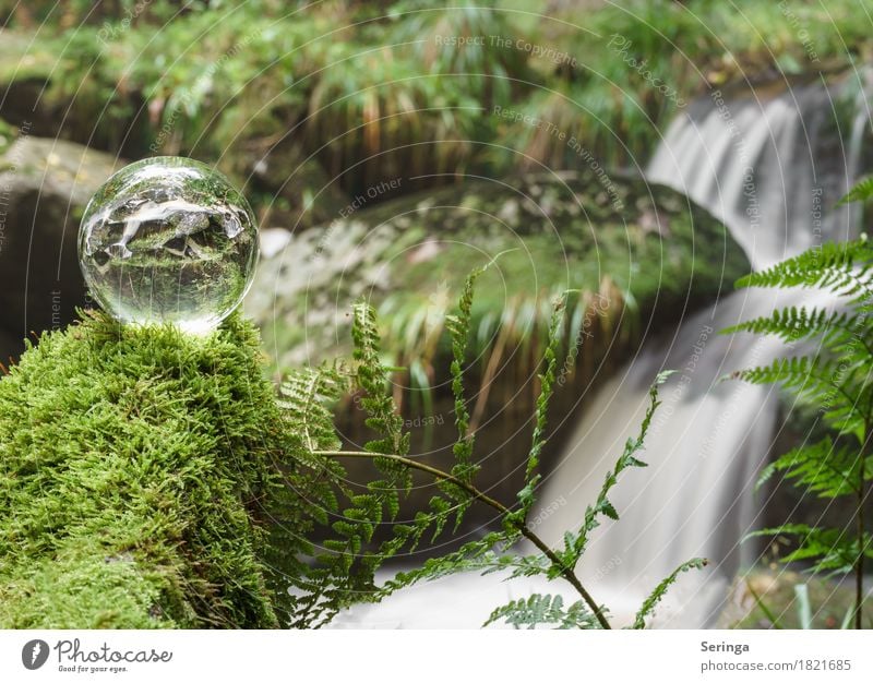 Stone race through the ball Environment Nature Landscape Plant Animal Summer Autumn Moss Fern River bank Lake Brook Waterfall Glass Movement Stone Race Harz