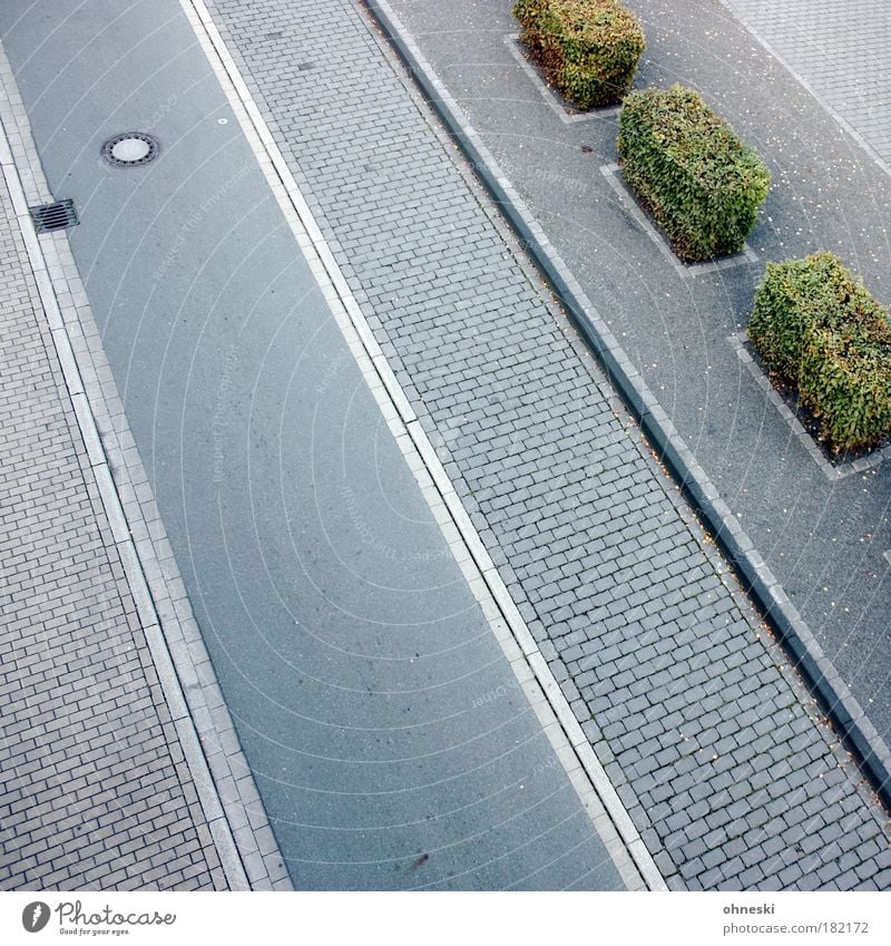 road construction Colour photo Subdued colour Exterior shot Deserted Copy Space left Copy Space bottom Copy Space middle Day Shadow Bird's-eye view Plant Hedge