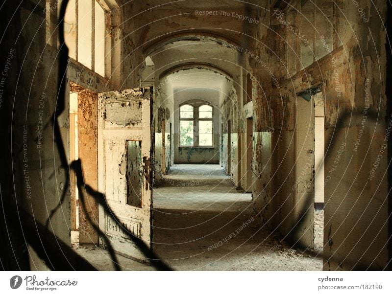 ravages of time Colour photo Interior shot Detail Deserted Day Shadow Contrast Shallow depth of field Central perspective Living or residing Redecorate