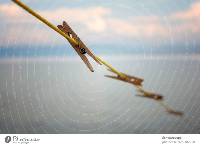 hang out Colour photo Exterior shot Shallow depth of field Rope Water Sky Clouds Lakeside Lake Constance Wood Utilize Cleaning To swing Thin Simple Free Above