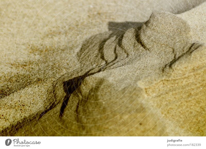 beach shapes Colour photo Exterior shot Day Beach Nature Landscape Sand Rock Mountain Coast Baltic Sea Natural Warmth Bizarre Environment Transience Change