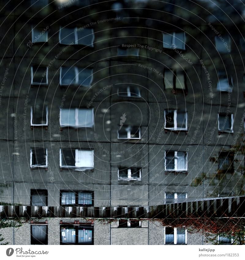 flatfish Colour photo Subdued colour Exterior shot Detail Experimental Deserted Day Twilight Light Shadow Reflection Light (Natural Phenomenon) Blur Long shot