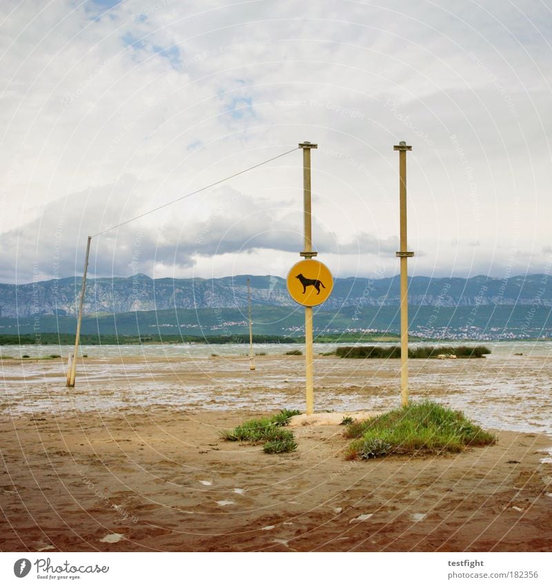 soline Colour photo Day Environment Landscape Elements Sand Air Storm clouds Climate Beautiful weather Bad weather Mountain Ocean Dog 1 Animal