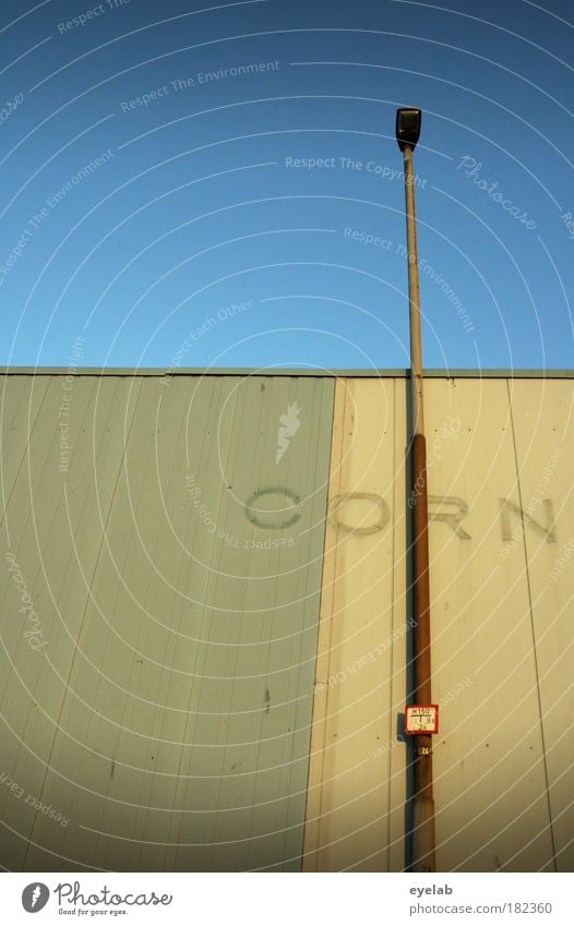 CORN Colour photo Subdued colour Exterior shot Close-up Detail Deserted Copy Space left Copy Space top Copy Space bottom Copy Space middle Day Light Shadow