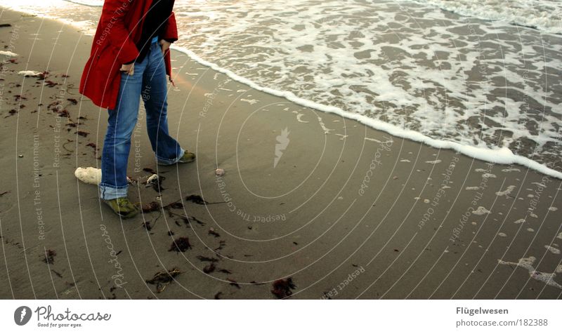 When's the tide coming? Colour photo Exterior shot Evening Lifestyle Leisure and hobbies Vacation & Travel Tourism Trip Environment Nature Water Sunrise Sunset