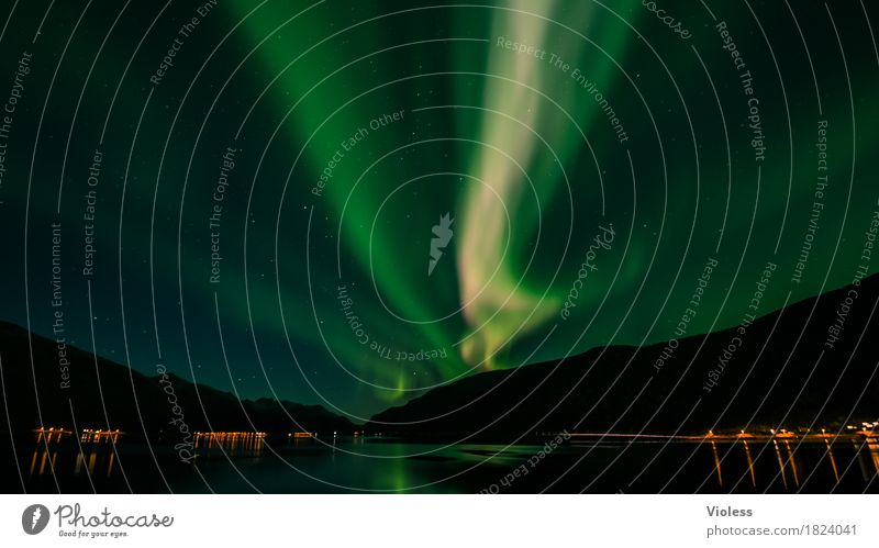 Northern Lights VI Nature Sky Clouds Night sky Horizon Horizontal Autumn Aurora Borealis Fjord Movement Exceptional Infinity Humble Mysterious Surrealism Shadow