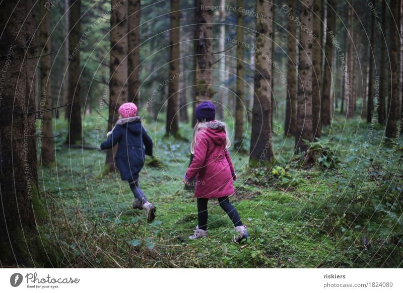 at home in the forest Human being Feminine Child Girl Brothers and sisters Sister Infancy 2 3 - 8 years Environment Nature Landscape Autumn Forest Discover