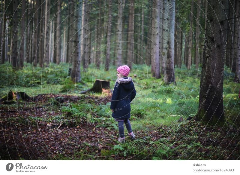 forest child Human being Feminine Child Girl Infancy 1 3 - 8 years Environment Nature Autumn Forest Observe Discover Relaxation Looking Dream Hiking Blonde