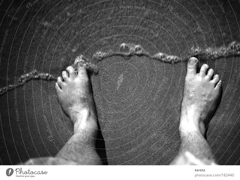 Waving waves rustle in Black & white photo Exterior shot Close-up Copy Space middle Day Contrast Motion blur Bird's-eye view Central perspective Downward