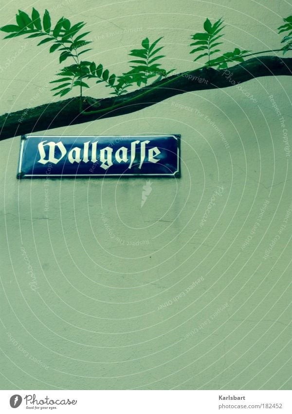 wallgasse. button. alley Vienna Street sign Enamel Enamel sign Historic Nostalgia Wall (building) Copy Space bottom Branch Gothic script Word Latin script