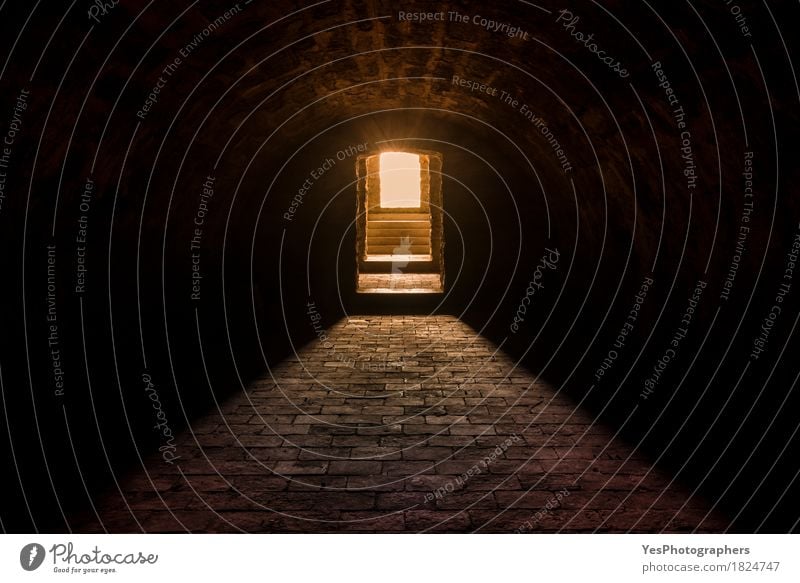 Basement interior with stone floor Design Cellar Hallowe'en Illuminate Dark Creepy Curiosity Warmth Emotions Moody Bravery Optimism Success Hope Fear Horror