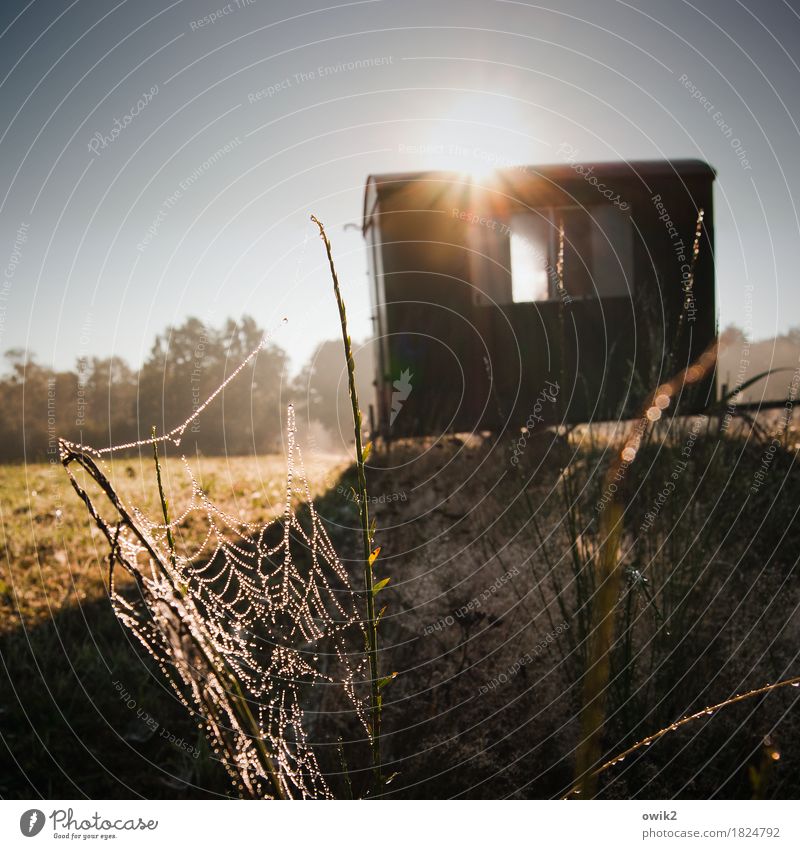 trailer blues Environment Nature Landscape Earth Drops of water Cloudless sky Horizon Beautiful weather Tree Grass Bushes Glittering Hang Illuminate Simple