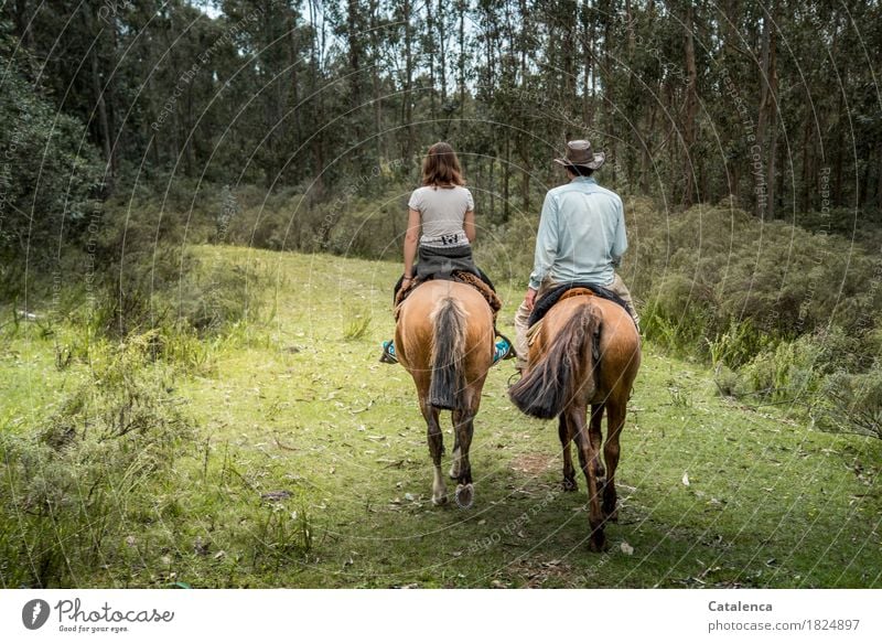 broken up | on new paths. Couple rides Ride Masculine Feminine Young woman Youth (Young adults) Young man 2 Human being Landscape Summer Forest Horse Grass