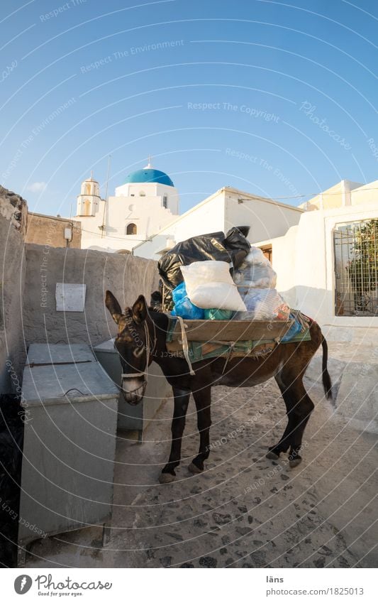 refuse collection Living or residing Village Small Town Downtown Old town House (Residential Structure) Manmade structures Architecture Church Wall (barrier)