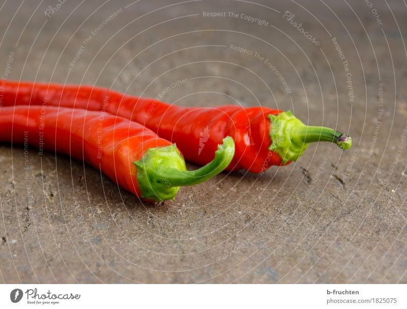 chillies Vegetable Herbs and spices Red Tangy pepperoni Chili Wooden board Spicy Vegetarian diet Colour photo Interior shot Close-up Deserted