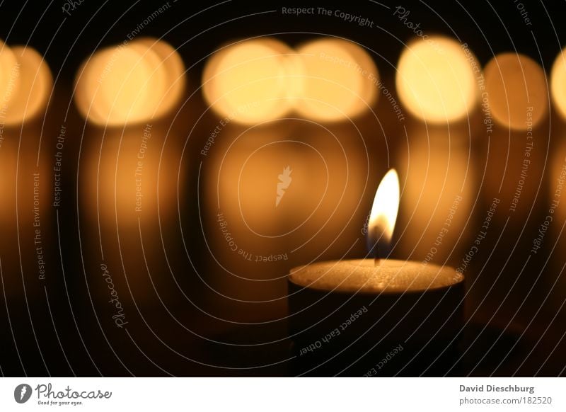 moment of light Colour photo Interior shot Close-up Detail Macro (Extreme close-up) Structures and shapes Evening Night Light Shadow Contrast Silhouette